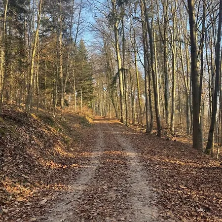 Himmelblick - Mit Parkplatz Bei