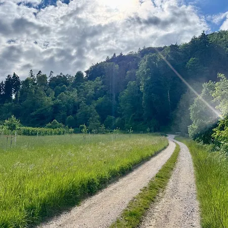 Himmelblick - Mit Parkplatz Bei Apartment Radolfzell am Bodensee